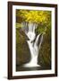 Furnace Falls, Furnace, Dyfed, Wales, United Kingdom, Europe-Billy Stock-Framed Photographic Print