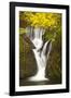 Furnace Falls, Furnace, Dyfed, Wales, United Kingdom, Europe-Billy Stock-Framed Photographic Print