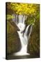 Furnace Falls, Furnace, Dyfed, Wales, United Kingdom, Europe-Billy Stock-Stretched Canvas