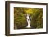 Furnace Falls, Furnace, Dyfed, Wales, United Kingdom, Europe-Billy Stock-Framed Photographic Print