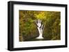 Furnace Falls, Furnace, Dyfed, Wales, United Kingdom, Europe-Billy Stock-Framed Photographic Print