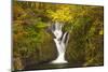 Furnace Falls, Furnace, Dyfed, Wales, United Kingdom, Europe-Billy Stock-Mounted Photographic Print