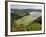 Furnas Lake, Sao Miguel Island, Azores, Portugal, Europe-De Mann Jean-Pierre-Framed Photographic Print