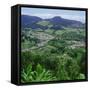 Furnas Valley, Sao Miguel, Azores, Portugal, Atlantic-David Lomax-Framed Stretched Canvas