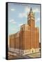 Furniture Mart, Chicago, Illinois-null-Framed Stretched Canvas