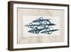 Furrid Shell-Albert Koetsier-Framed Art Print