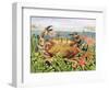 Furrowed Crab with Starfish Underwater, 1997-E.B. Watts-Framed Giclee Print