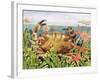 Furrowed Crab with Starfish Underwater, 1997-E.B. Watts-Framed Giclee Print