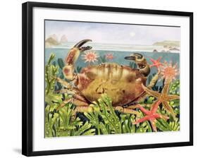 Furrowed Crab with Starfish Underwater, 1997-E.B. Watts-Framed Giclee Print