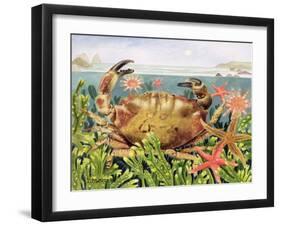 Furrowed Crab with Starfish Underwater, 1997-E.B. Watts-Framed Giclee Print