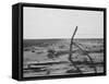 Furrowing against the wind to check the drift of sand Texas, 1938-Dorothea Lange-Framed Stretched Canvas