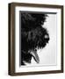 Furry Dog Panting-Henry Horenstein-Framed Photographic Print