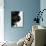 Furry Dog Panting-Henry Horenstein-Photographic Print displayed on a wall