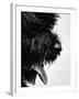 Furry Dog Panting-Henry Horenstein-Framed Photographic Print