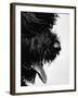 Furry Dog Panting-Henry Horenstein-Framed Photographic Print