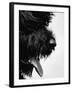 Furry Dog Panting-Henry Horenstein-Framed Photographic Print