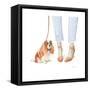 Furry Fashion Friends IV-Emily Adams-Framed Stretched Canvas