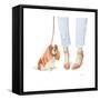 Furry Fashion Friends IV-Emily Adams-Framed Stretched Canvas