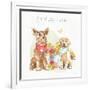 Furry Pals V-Beth Grove-Framed Art Print