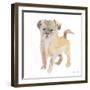 Furry Paws-Lanie Loreth-Framed Art Print