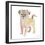 Furry Paws-Lanie Loreth-Framed Art Print