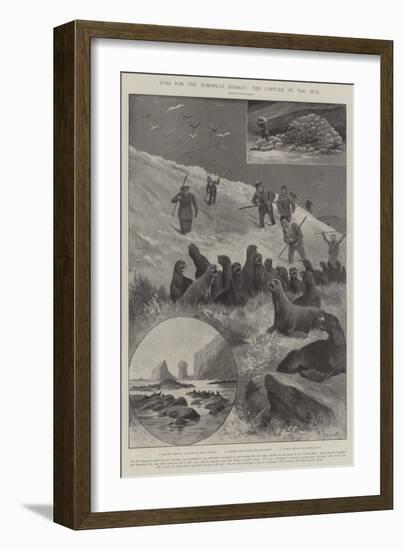 Furs for the European Market, the Capture of the Seal-Paul Frenzeny-Framed Giclee Print