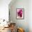 Fuschia Dalhia I-Maureen Love-Framed Photographic Print displayed on a wall