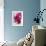 Fuschia Dalhia I-Maureen Love-Framed Photographic Print displayed on a wall