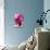 Fuschia Dalhia I-Maureen Love-Mounted Photographic Print displayed on a wall