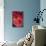 Fuschia Dalhia II-Maureen Love-Mounted Photographic Print displayed on a wall