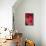 Fuschia Dalhia II-Maureen Love-Mounted Photographic Print displayed on a wall