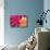 Fuschia Dalhia III-Maureen Love-Mounted Photographic Print displayed on a wall