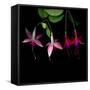 fuschia I-Magda Indigo-Framed Stretched Canvas