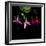 fuschia I-Magda Indigo-Framed Photographic Print