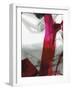 Fuschia I-PI Studio-Framed Art Print