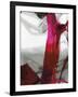 Fuschia I-PI Studio-Framed Art Print