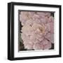 Fuschia Peonies-Janet Kruskamp-Framed Art Print