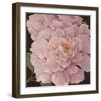 Fuschia Peonies-Janet Kruskamp-Framed Art Print