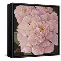 Fuschia Peonies-Janet Kruskamp-Framed Stretched Canvas