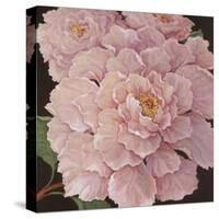 Fuschia Peonies-Janet Kruskamp-Stretched Canvas