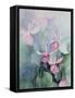 Fuschia, Pink Coachman-Karen Armitage-Framed Stretched Canvas