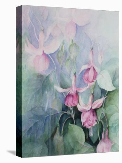 Fuschia, Pink Coachman-Karen Armitage-Stretched Canvas