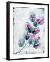 Fuschia Splash1-Li Bo-Framed Giclee Print