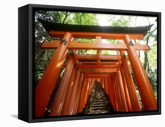 Fushimi Inari Shrine-null-Framed Stretched Canvas