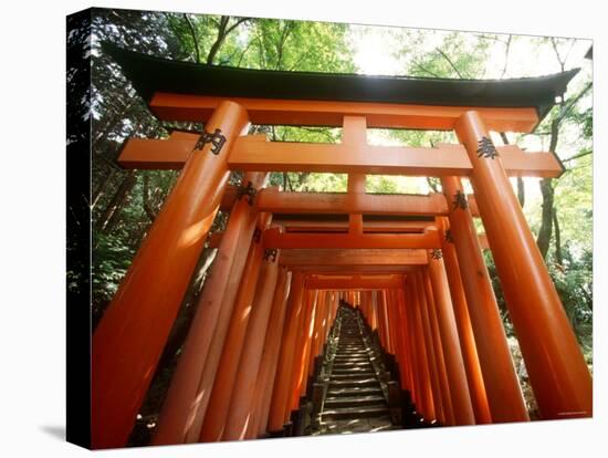 Fushimi Inari Shrine-null-Stretched Canvas