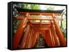 Fushimi Inari Shrine-null-Framed Stretched Canvas