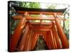 Fushimi Inari Shrine-null-Stretched Canvas