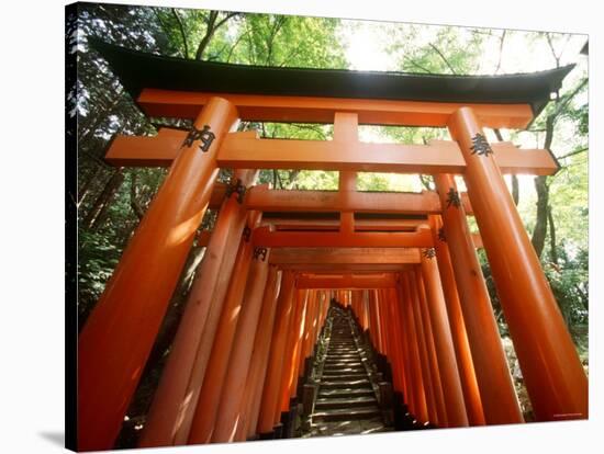 Fushimi Inari Shrine-null-Stretched Canvas