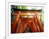 Fushimi Inari Shrine-null-Framed Photographic Print