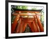 Fushimi Inari Shrine-null-Framed Photographic Print